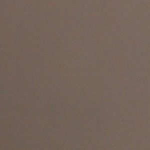 Meet your Posher, Oni